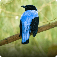 PHOTO ANIMALIÈRE
